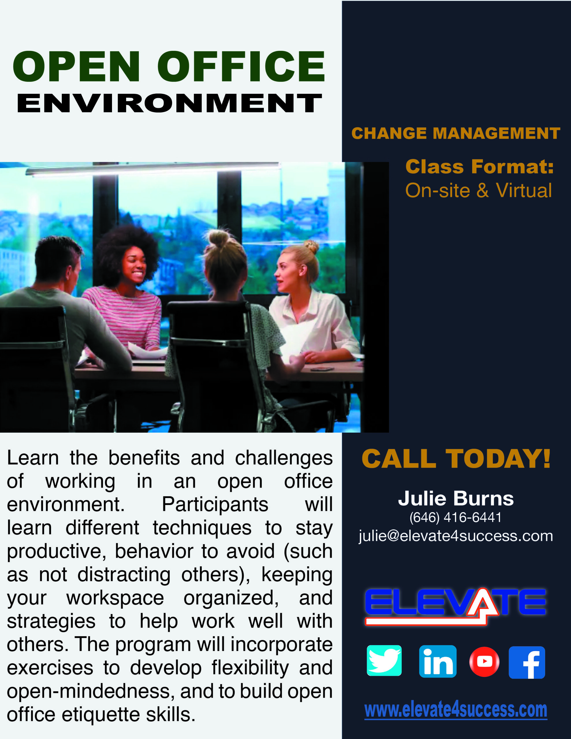 Open Office Environment USA Sales Flyer